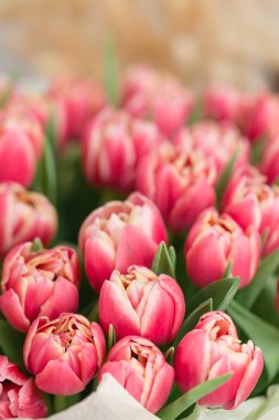 yakın çekim. güzel lüks buket Pembe Lale çiçek masada. bir çiçek mağazası, çiçekçi iş.