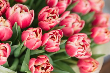 yakın çekim. güzel lüks buket Pembe Lale çiçek masada. bir çiçek mağazası, çiçekçi iş.