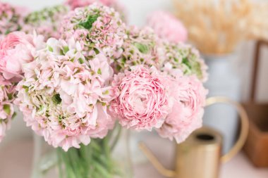 Farsça buttercup. dantel birçok yaprakları ile. Soluk pembe tipik çiçekler açık renkli bir grup. Duvar kağıdı