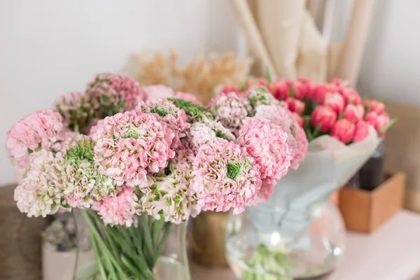 Farsça buttercup. dantel birçok yaprakları ile. Soluk pembe tipik çiçekler açık renkli bir grup. Duvar kağıdı