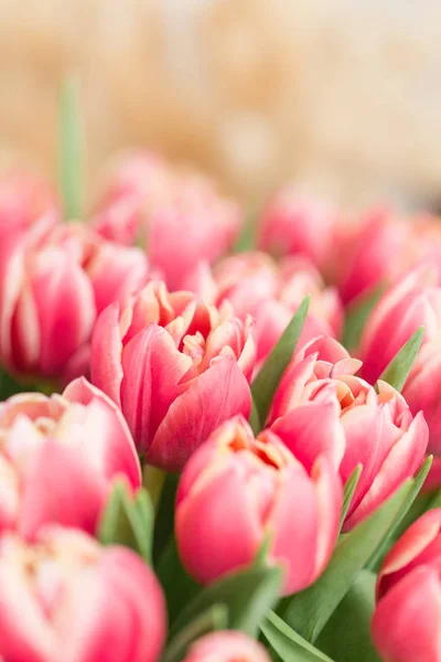 Gros plan. beau bouquet de fleurs de tulipes roses sur la table. le travail du fleuriste dans un magasin de fleurs . — Photo