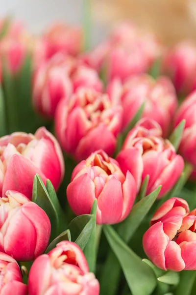 yakın çekim. güzel lüks buket Pembe Lale çiçek masada. bir çiçek mağazası, çiçekçi iş.