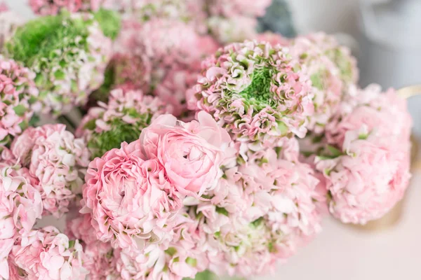 Taza de mantequilla persa. encaje con muchos pétalos. Ramo de flores ranúnculo rosa pálido fondo claro. Fondos de pantalla — Foto de Stock