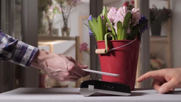 Jacintos en floristería. Método de pago sin contacto. Momento de pago con un teléfono móvil a través de terminal. Compra y vende. Servicio de productos. Un regalo o un cumplido — Vídeos de Stock