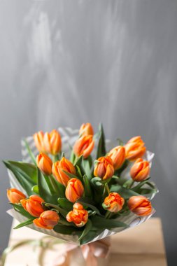 Gri duvar güzel turuncu Lale. Çiçek arka plan. Sıcak renkler. kopya alanı