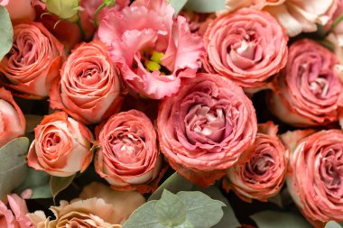 duvar kağıdı. Gri bir arka plan üzerinde çiçek kompozisyon. Düğün ve şenlikli dekor. Toz pembe renk. kopya alanı. portre