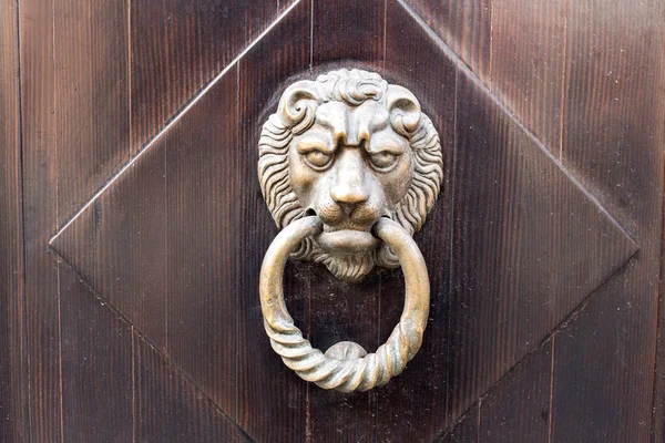 Παλιά ξύλινη πόρτα. Κεφαλές των λιονταριών στο μπροστινό μέρος. εκλεκτής ποιότητας πόρτα ρόπτρο. — Φωτογραφία Αρχείου