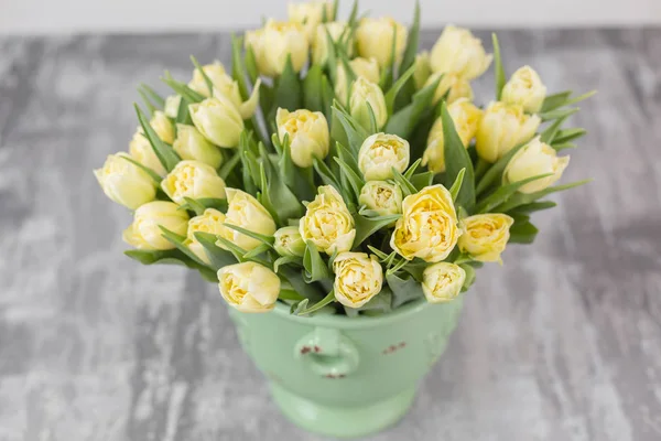 Tulpen von pastellgelber Farbe. große Knospen von bunten Tulpen. Florale Naturkulisse. Zweifarbige Tulpen füllten das Bild. ungewöhnliche Blumen, im Gegensatz zu den anderen. Oberflächlicher Fokus. — Stockfoto
