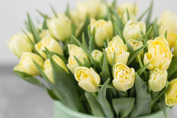 Tulipes de couleur jaune pastel. Gros bourgeons de tulipes multicolores. Fond naturel floral. Tulipes bicolores rempli image. Fleurs inhabituelles, contrairement aux autres. Concentration superficielle . — Photo