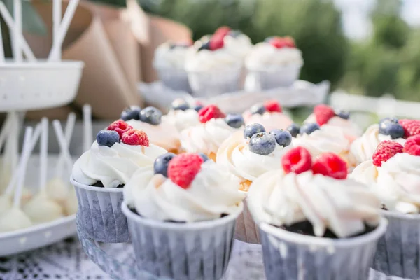 Conjunto de diferentes deliciosos bolos saborosos com bagas no fundo do verão. Tartes de sobremesa diferentes com nata e mirtilo fresco e framboesa. Foco seletivo. conceito de barra de doces — Fotografia de Stock