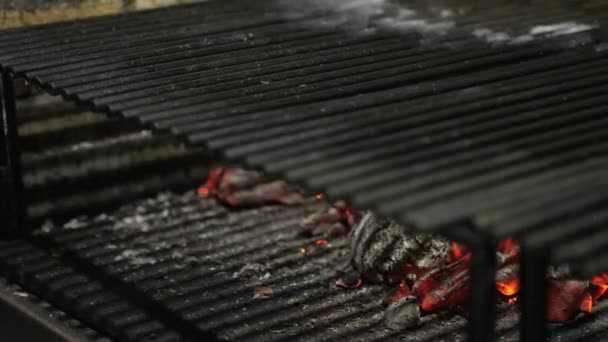 Typical Argentinian barbecue or asado. Burning wood in the grill and red hot coals — Stock Video