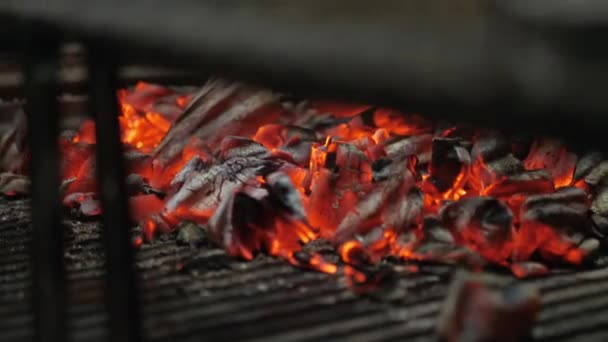 Typisch Argentijnse barbecue of asado. Verbranden van hout in de barbecue en de rode hete kolen — Stockvideo