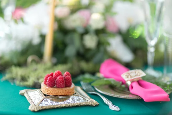 Postre de frambuesa. mesa de ajuste. Decoración de la boda en el bosque mágico para una pareja amorosa. Colores rosa y verde . — Foto de Stock