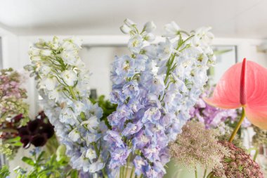 Çiçek Dükkanı kavramı. Farklı çeşitleri taze bahar çiçek çiçekler için buzdolabı odasında. Raf, çiçekçi iş buketleri.