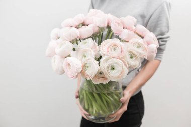 Farsça buttercup. Kadın elinde bir Vazoda Çiçekler soluk pembe tipik bir grup. bir çiçek mağazası, çiçekçi iş .