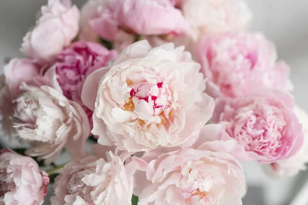 可愛くて素敵な牡丹。多くは花弁を階層化します。淡いピンクの牡丹の花の明るい灰色の背景を束します。壁紙 — ストック写真