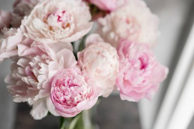 Sevimli ve güzel Şakayık. çok katmanlı yaprakları. Soluk pembe peonies çiçekler açık gri renkli bir grup. Duvar kağıdı, dikey fotoğraf
