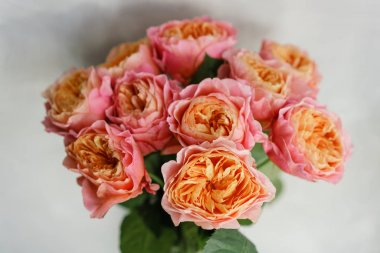 bir tabloda bir vazoda çiçekler güzel gül. Pembe ve turuncu çok renkli çiçek buketi. Ev dekorasyon. Duvar kağıdı ve arka plan.