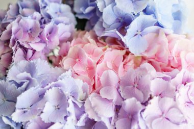 bir tabloda bir vazoda çiçekler güzel ortanca. Işık mavi, Lila ve pembe çiçek buketi. Ev dekorasyon. Duvar kağıdı ve arka plan