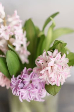 Taze bahar sümbül çiçek buket ışık gri arka plan üzerinde cam vazoda kapatın. pembe ve Lila pastel renkler