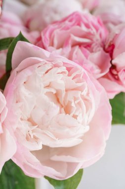 Cam vazo içinde sunulan güzel çiçekler. Beyaz ve pembe peonies güzel buket. Çiçek kompozisyon, gün ışığı. Yaz duvar kağıdı. Pastel renkler