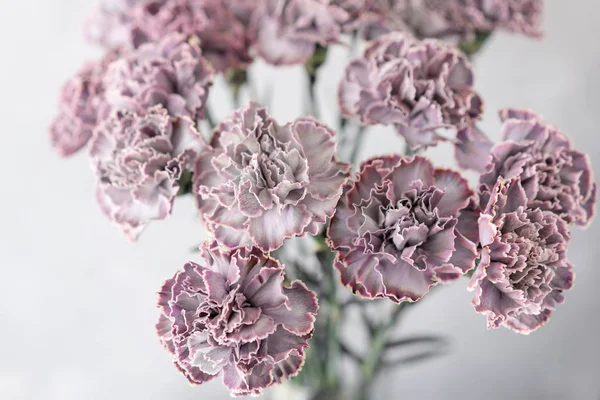 Όμορφα λουλούδια σε γυάλινο βάζο. Όμορφο μπουκέτο από γαρίφαλο είναι ένα ασυνήθιστο χρώμα. Floral σύνθεση, φως της ημέρας. Καλοκαίρι ταπετσαρία — Φωτογραφία Αρχείου