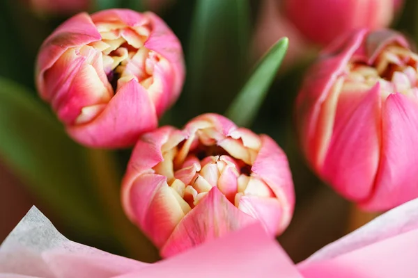 Gros plan sur les tulipes. bourgeon de fleur rose multicolore avec de nombreux pétales. Photo de fond floral. Jolies fleurs dans un vase en verre. Beau bouquet de printemps. Composition florale, lumière du jour. Papier peint — Photo