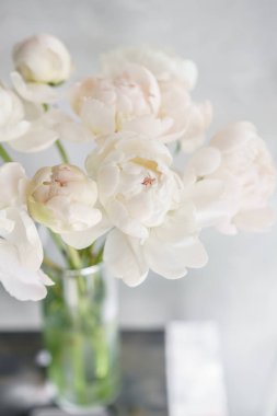 Cam vazo içinde sunulan güzel çiçekler. Beyaz peonies güzel buket. Çiçek kompozisyon, gün ışığı. Yaz duvar kağıdı