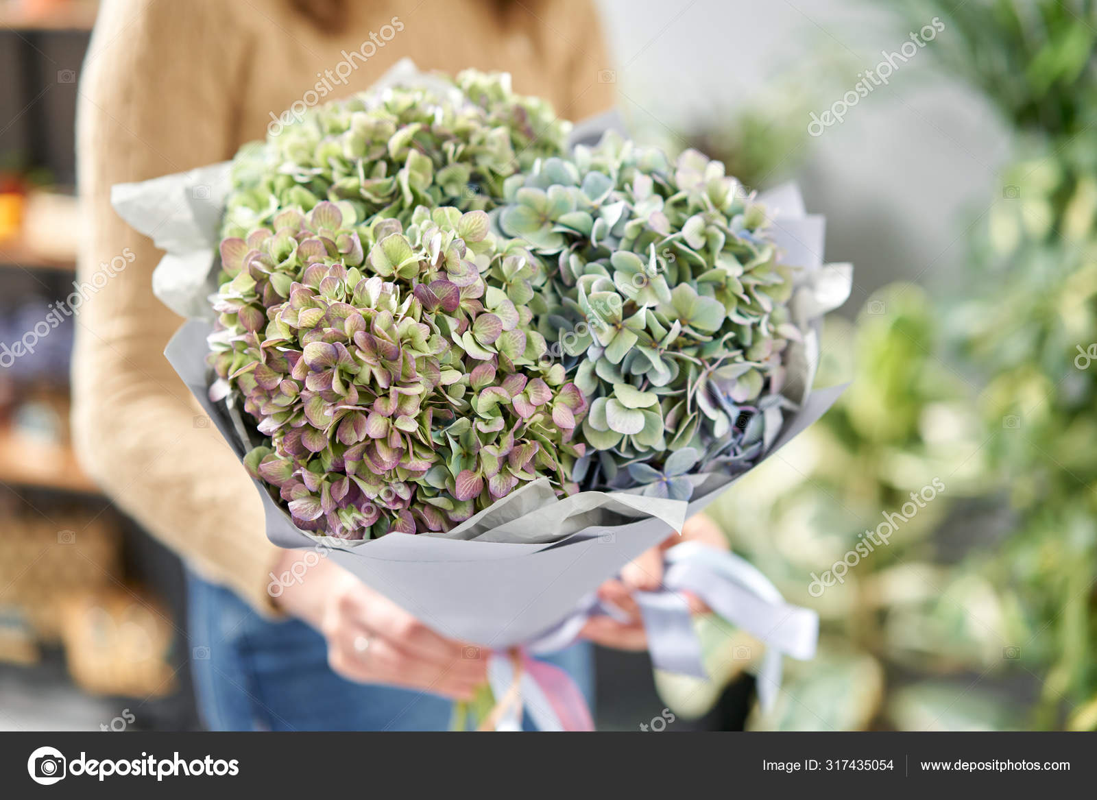 绿花的花束美丽的水仙花在女人的手中 花店花商的工作 新鲜切花 图库照片 C Malkovkosta 绿花的花束美丽的水仙花在女人的手中 花店花商的工作 新鲜切花 图库照片 C Malkovkosta