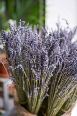 Sepette kurutulmuş lavanta demetleri. Çiçekçi. Çiçek teslimatı