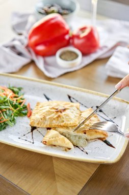 Kadın roka ve sebze salatasıyla kızarmış Latin Amerika böreği yiyor. Balzamik sosla süslenmiş. Menü Restoranı