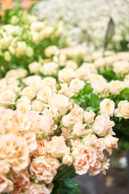 Farklı renkte çiçekli vazolar, çiçekçi dükkanı. Güzel bahar buketleri. - Evet. Küçük bir aile şirketi. Çiçekçilik. Boşluğu kopyala