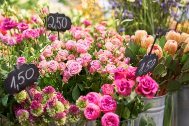 Farklı renkte çiçekli vazolar, çiçekçi dükkanı. Güzel bahar buketleri. - Evet. Küçük bir aile şirketi. Çiçekçilik. Boşluğu kopyala