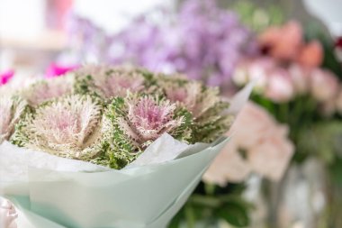 Dekoratif lahana. Brassica oleracea 'nın sıra dışı komik çiçeği. Cam vazoda gül buketi. Sefil, şık bir ev dekoru. Duvar Kağıdı