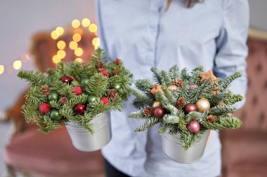 Metal bir tencerede iki küçük taze ladin aranjmanı. Noel havası. Arka planda çelenk ışıkları Bokeh.