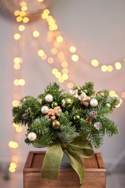 Metal bir tencerede iki küçük taze ladin aranjmanı. Noel havası. Arka planda çelenk ışıkları Bokeh.