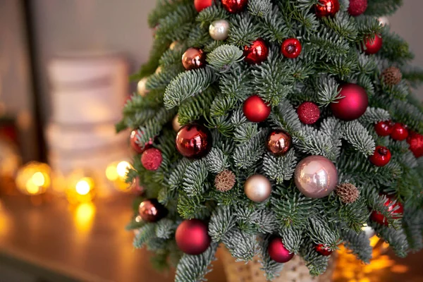 Bela árvore de Natal pequena na mesa de madeira. Bom humor. Lâmpada de guirlanda bokeh no fundo. Papel de parede. Pinheiro e abeto dinamarqueses, Nobilis — Fotografia de Stock