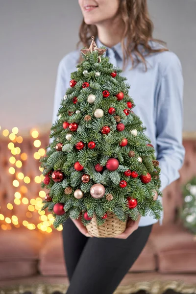 Beautiful small Christmas tree in womans hands. Happy mood. Garland lamp bokeh on background. Wallpaper. Danish pine and fir, Nobilis — Stock Photo, Image