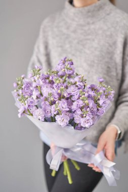 Bahar çiçekleri. Taze bir demet leylak Mattioli yakın çekim. Kadınlar ya da anneler günü teması. Taze kesilmiş çiçek..