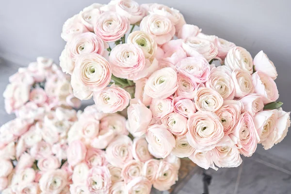 Много цветов, персидский лютик. Бледно-розовые цветки раннункулуса на светлом и голубом фоне. Стеклянная ваза на винтажном деревянном столе. Обои — стоковое фото