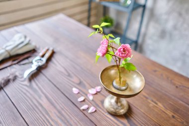 Kenzan 'da Ikebana, masa çiçekçisine makas ve budama makinesi. Mevsimlik yaz bahçesi çiçekleri.