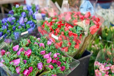 Anemone 'daki çiçek pazarında kovalarda farklı renkte çiçekler, haşhaş.