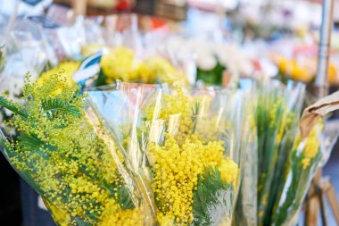 Mimosa pınarı. Anemone 'daki çiçek pazarında kovalarda farklı renkte çiçekler, haşhaş.