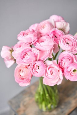 Bahar arkaplanı, çiçek duvar kağıdı. İranlı düğün çiçeği. Açık gri arka planda bir demet pembe ranunculus çiçeği. Eski ahşap masadaki vazo. Duvar Kağıdı
