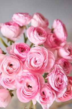 Bahar arkaplanı, çiçek duvar kağıdı. İranlı düğün çiçeği. Açık gri arka planda bir demet pembe ranunculus çiçeği. Eski ahşap masadaki vazo. Duvar Kağıdı