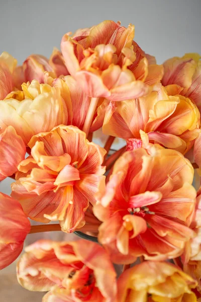Όμορφο πορτοκαλί και με κόκκινες ραβδώσεις τουλίπες στο βάζο. Λουλούδι φόντο. Floral Wallpaper. Αντιγραφή χώρου — Φωτογραφία Αρχείου