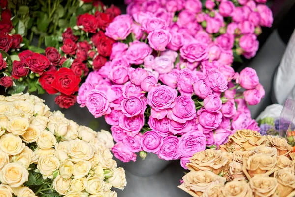 Almacén refrigerador, flores al por mayor para florerías. Rosas en un recipiente o cubo de plástico. Tienda online. Tienda floral y concepto de entrega . — Foto de Stock