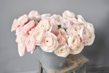 Bahar arkaplanı, çiçek duvar kağıdı. İranlı düğün çiçeği. Açık gri arka planda bir demet soluk pembe ranunculus çiçeği. Eski ahşap masadaki vazo. Duvar Kağıdı