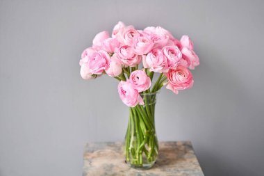 Bahar arkaplanı, çiçek duvar kağıdı. İranlı düğün çiçeği. Açık gri arka planda bir demet pembe ranunculus çiçeği. Eski ahşap masadaki vazo. Duvar Kağıdı