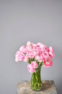 Bahar arkaplanı, çiçek duvar kağıdı. İranlı düğün çiçeği. Açık gri arka planda bir demet pembe ranunculus çiçeği. Eski ahşap masadaki vazo. Duvar Kağıdı